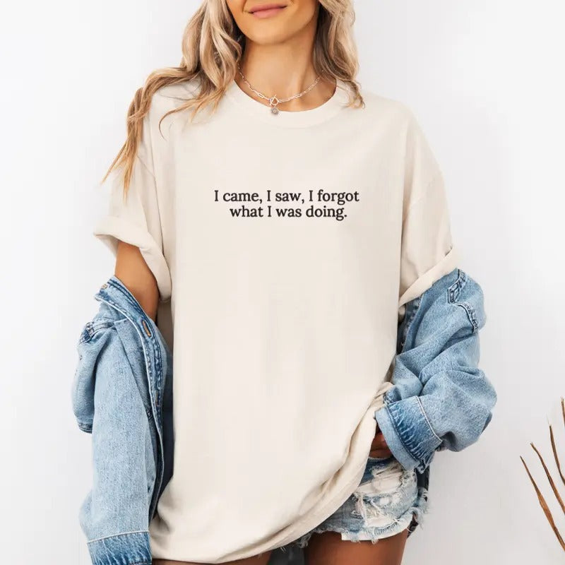 I Came, I Saw, I Forgot What I was Doing Embroidered Sweatshirt, Funny Sweatshirt, Sarcastic Sweater, Comfort Colors...