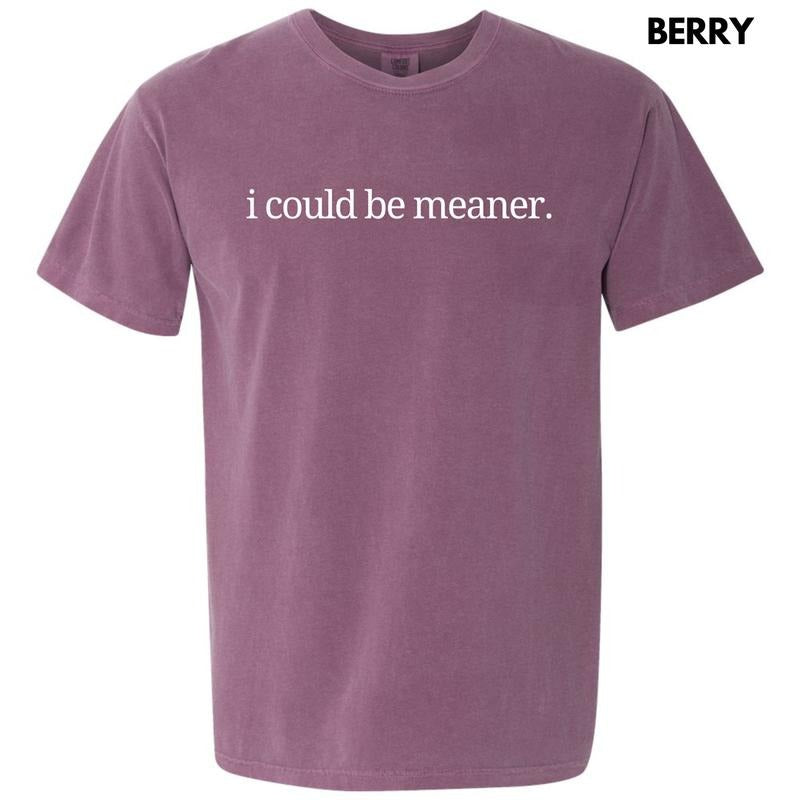 I Could Be Meaner Comfort Colors T-Shirt 'NLB' Hoodie, Sweatshirt | PrintMintTees.com