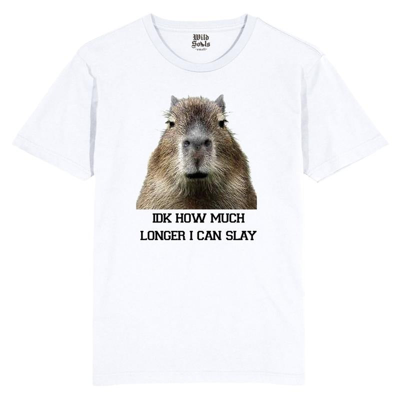 IDK How Much Longer I Can Slay Capybara Funny Tshirt, Funny, Trending, Joke, Sarcastic, Retro, Animal, Design Gift Top...