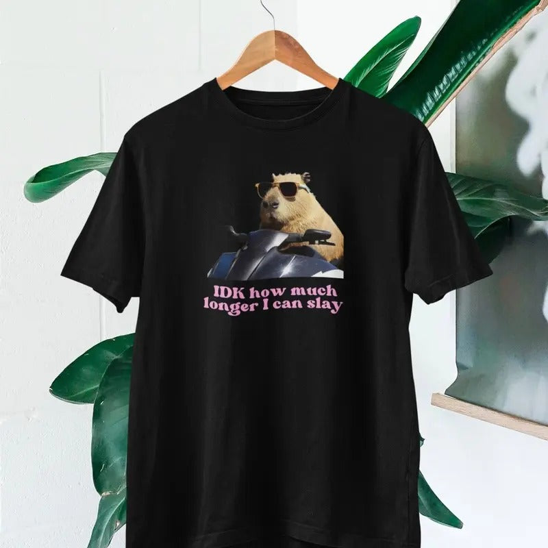 IDK How much longer I can slay T-shirt | Slay T-shirt | Funny top | TikTok fans Hoodie Sweatshirt | PrintMintTees.com