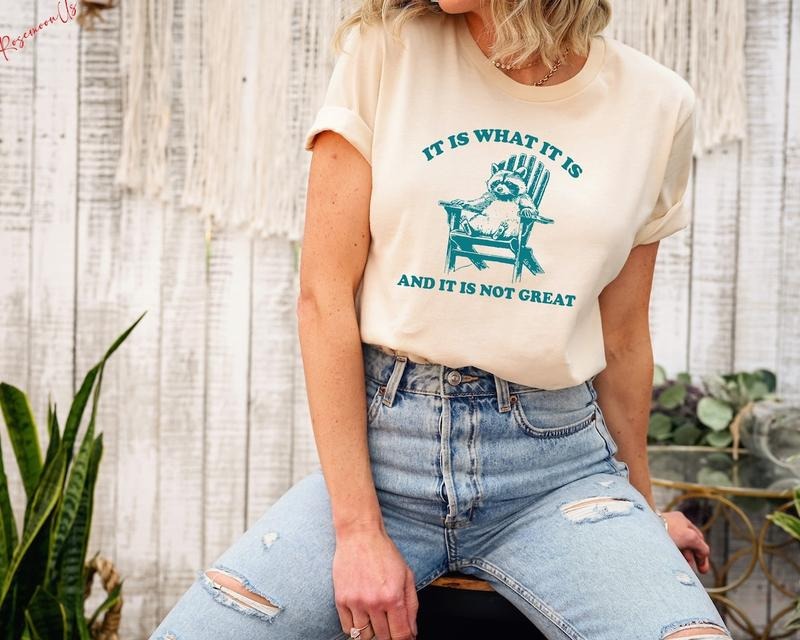 It Is What It Is And It Is Not Great Shirt, Raccoon Meme Shirt Hoodie Sweatshirt | PrintMintTees.com