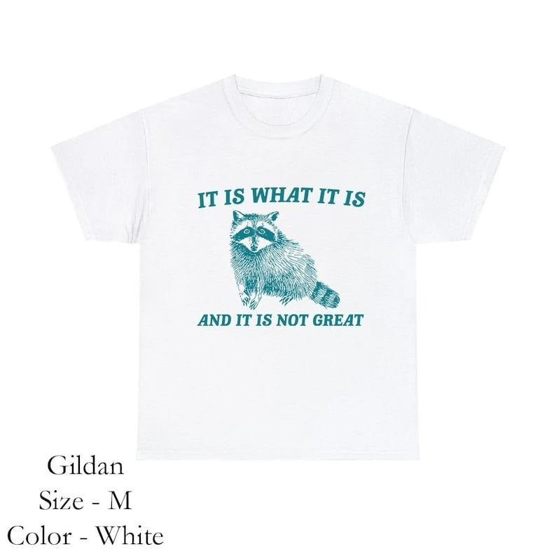 It Is What It Is And It Is Not Great Sweatshirt, Mental Health Sweatshirt, Funny Sweatshirt Women, Meme Sweatshirt,...