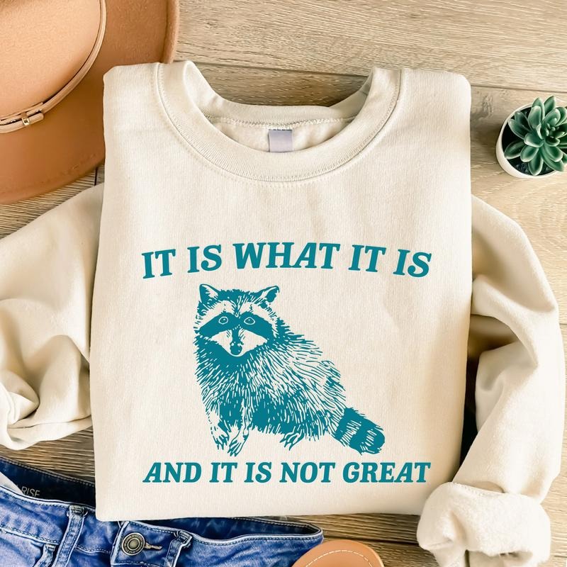 It Is What It Is And It Is Not Great Sweatshirt, Retro Vintage Hoodie, Funny Raccoon Shirt, Meme T Shirt, Cartoon T...