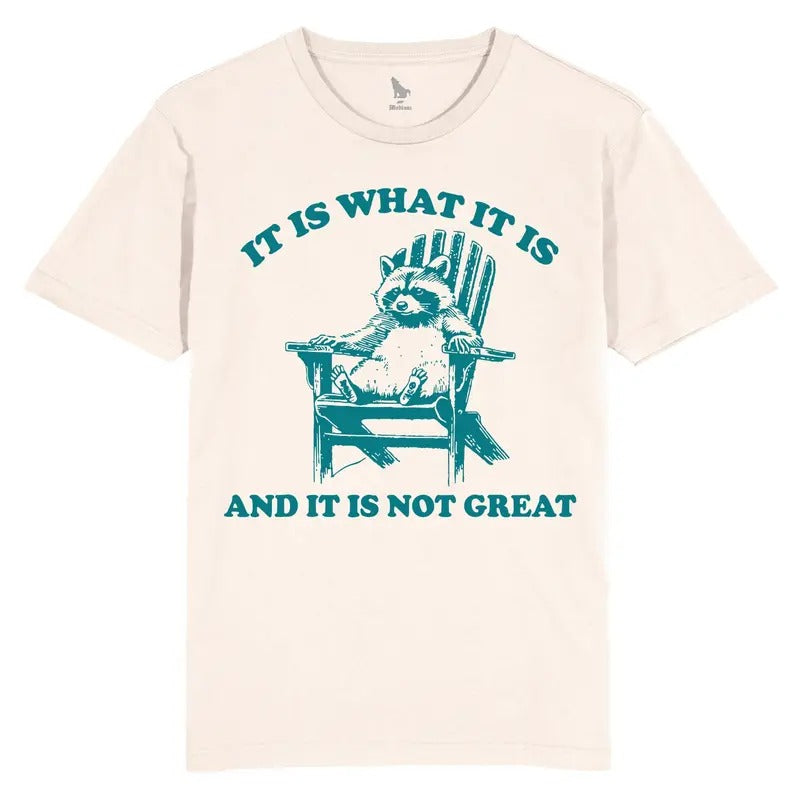 It Is What It Is And It Is Not Great Vintage