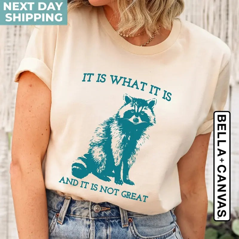 It Is What It Is And It Is Not Great Vintage Drawing T Shirt Raccoon Meme Shirt Sarcastic Shirt Mental Health Shirt Trash...