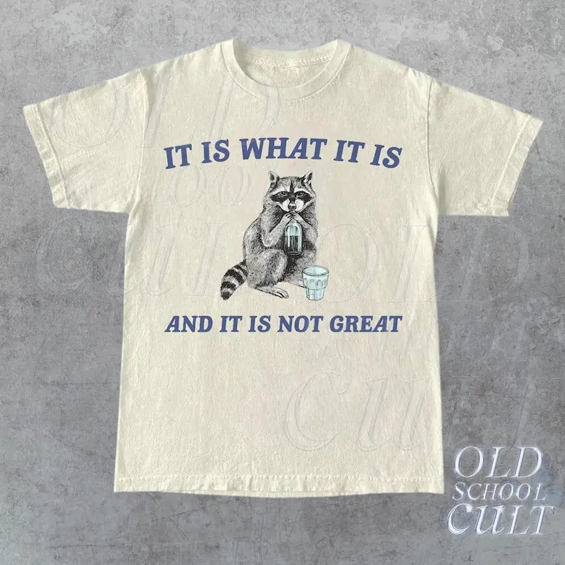 Is What Is Is Not Great Vintage Funny Raccoon Shirt Meme Cartoon Retro Minimalistic Fun T-Shirts, Hoodie, Sweatshirt
