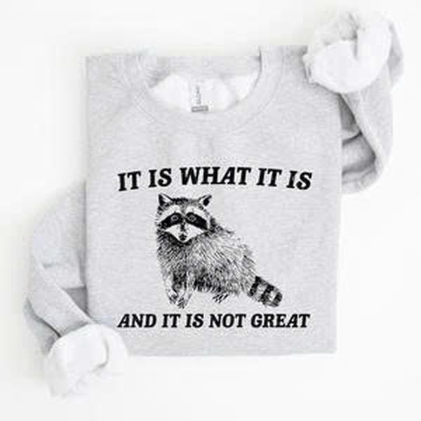 It Is What It Is And It Is Not Great, Raccoon, Funny, Aesthetic Sweatshirt Shirt Hoodie | PrintMintTees.com