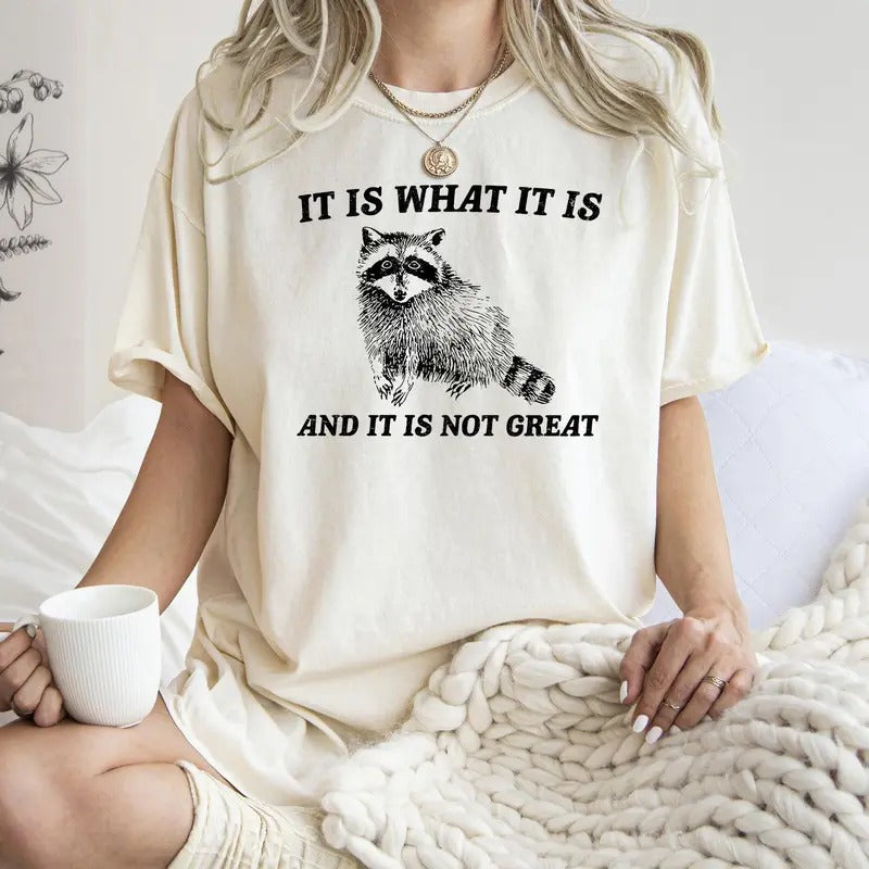 It Is What It Is And It Is Not Great, Raccoon, Meme, Aesthetic, Funny, Comfort Colors Tshirt, Women's Crew Neck, Crewneck...
