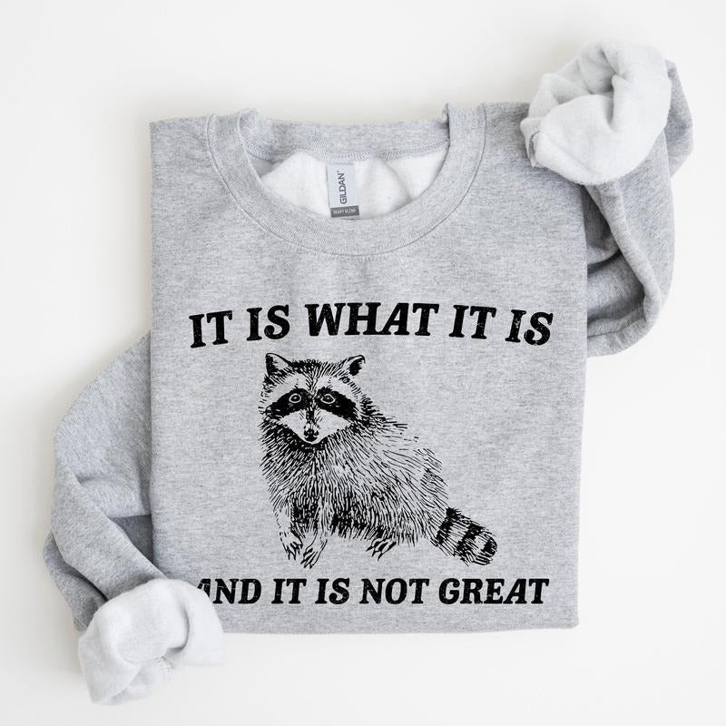 It Is What It Is And It Is Not Great, Raccoon, Trash Panda, Funny, Meme, Sweatshirt T-Shirts, Hoodie | PrintMintTees.com