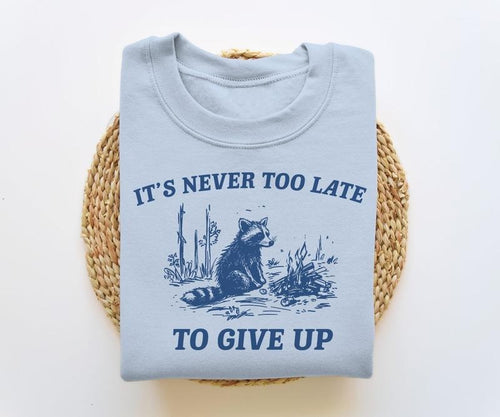 It's Never Too Late To Give Up, Funny Sweatshirt, Meme Sweatshirt, Raccoon Sweatshirt, Vintage Cartoon Shirt Hoodie