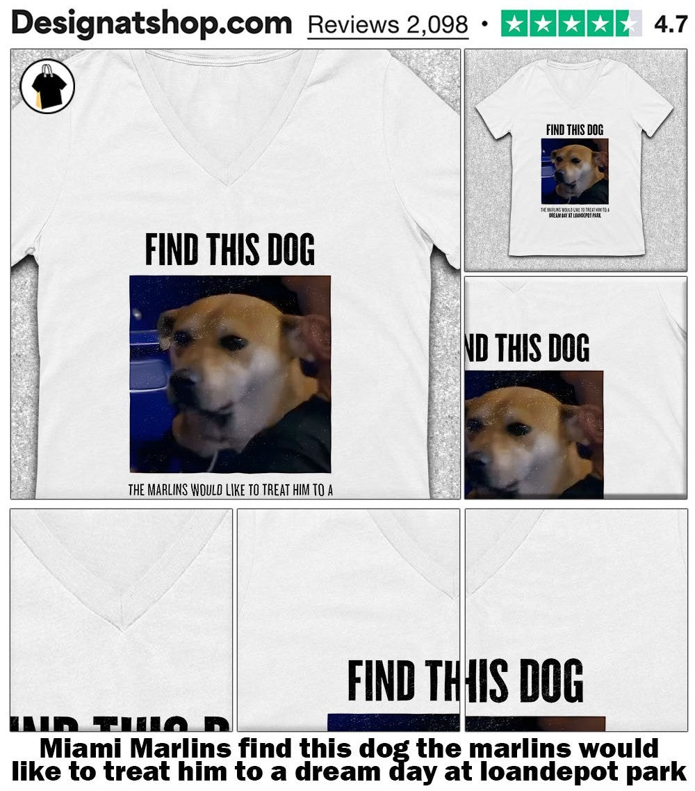 Miami Marlins find this dog the marlins would like to treat him to a dream day at loandepot park shirt