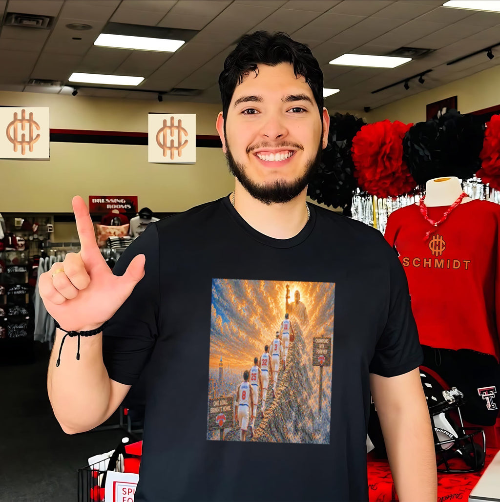 New York Knicks climbing a mountain illustraion shirt