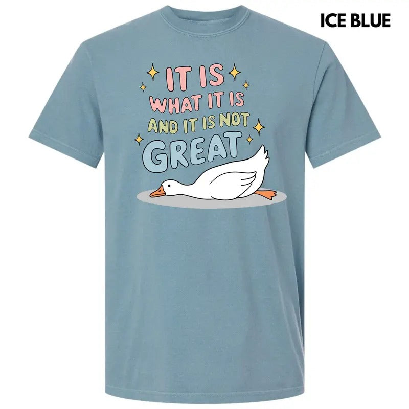 Not Great Goose Comfort Colors T-Shirt 'NLB' Hoodie Sweatshirt | PrintMintTees.com