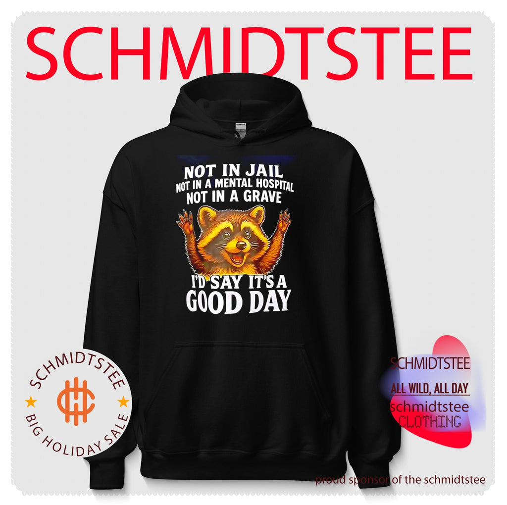 Not in jail not in a mental hospital not in a grave cartoon racoon shirt