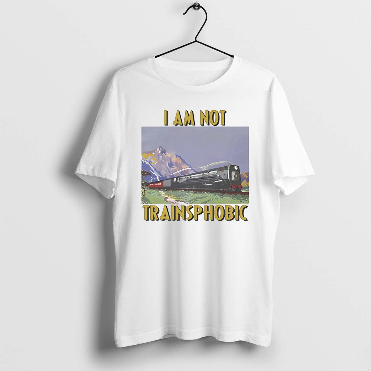 Official Train I Am Not Transphobic T-Shirts, Hoodie, Sweatshirt | PrintMintTees.com
