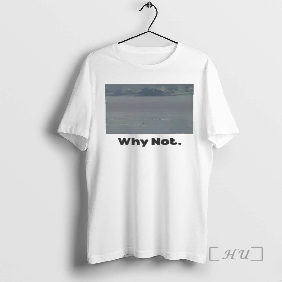Officials Inspirational Penguin Why Not Photo T-Shirts, Hoodie, Sweatshirt | PrintMintTees.com