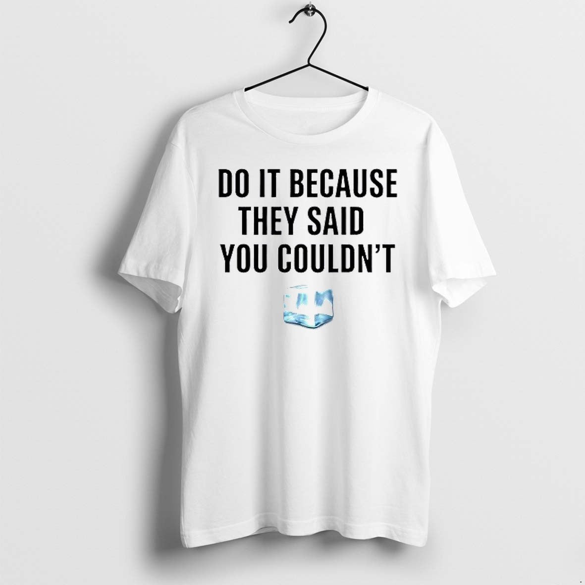 Original Drake Do It Because They Said You Couldnt Tshirts Jpg
