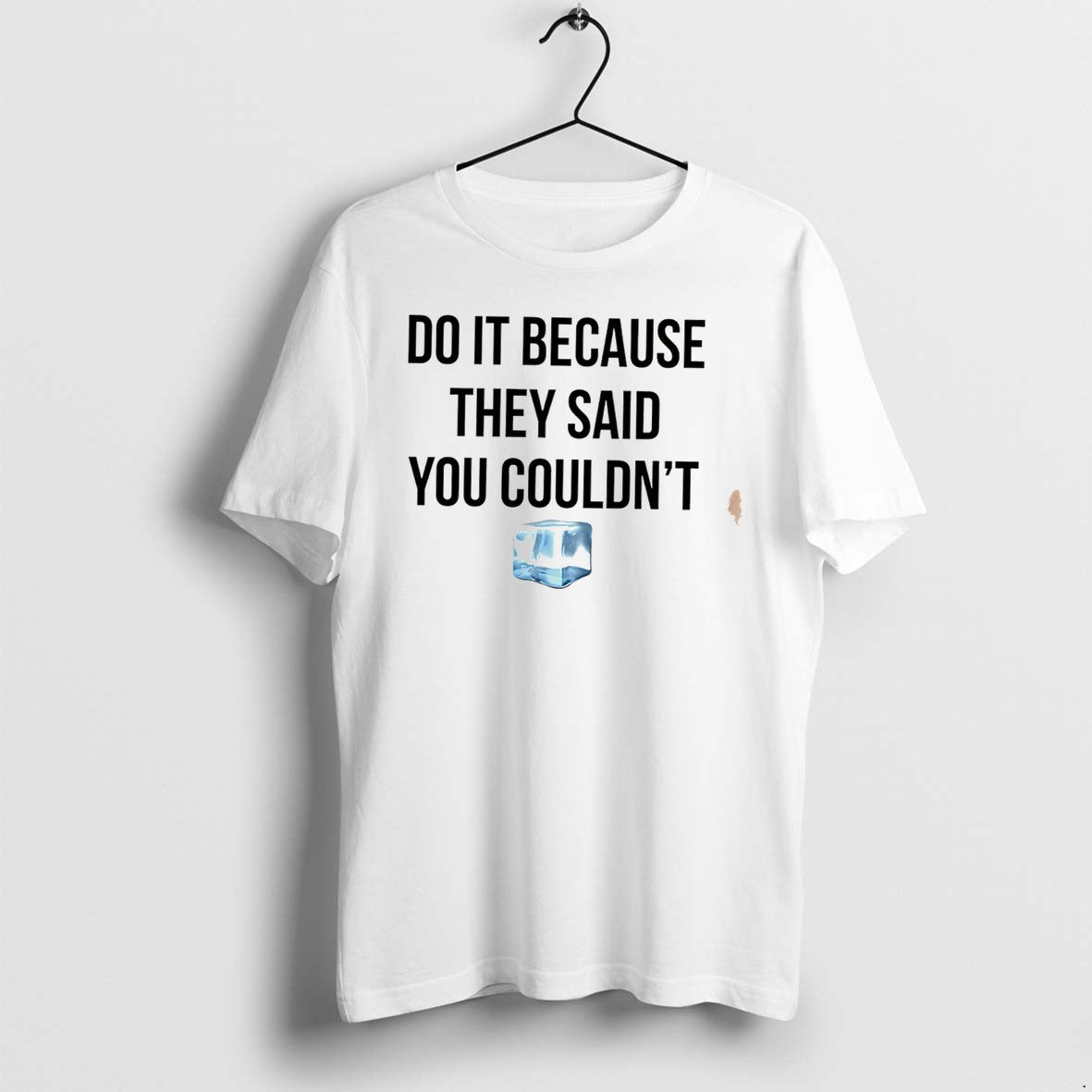 Original Drake Do It Because They Said You Couldnt Tee Tshirts Jpg