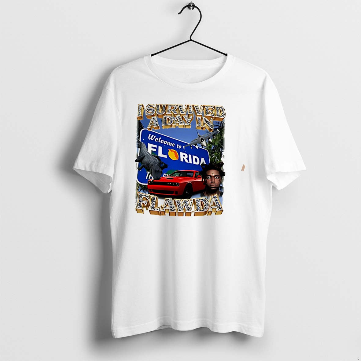 Original I Survived A Day In Flawda Florida Photo Frame Tee Tshirts Jpg