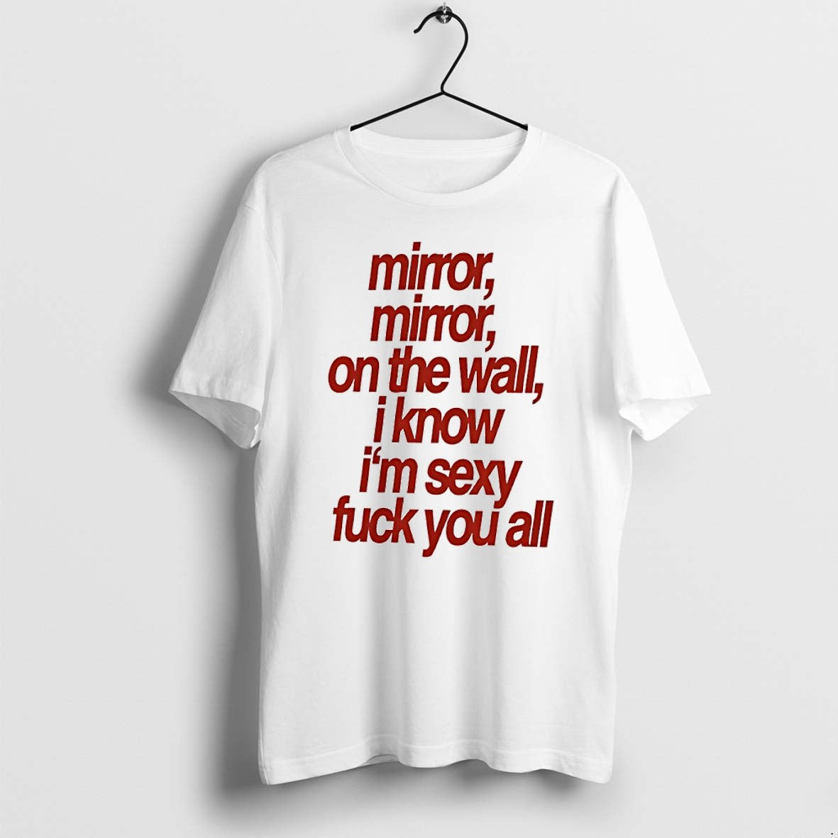 Original Mirror Mirror On The Wall I Know Im Sexy Fuck You All Tshirts Jpg
