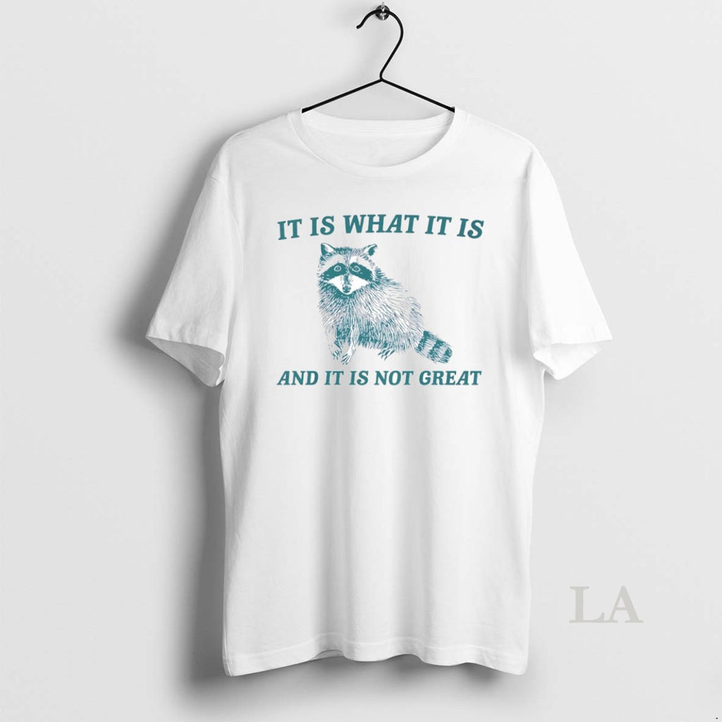 Original Raccoon It Is What It Is And It Is Not Great Circle T-Shirts, Hoodie, Sweatshirt | PrintMintTees.com