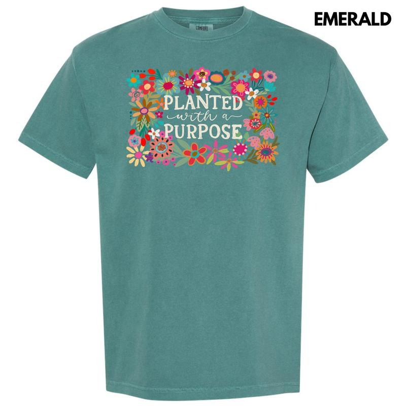Planted With Purpose Comfort Colors T-Shirt 'NLB' Hoodie Sweatshirt | PrintMintTees.com