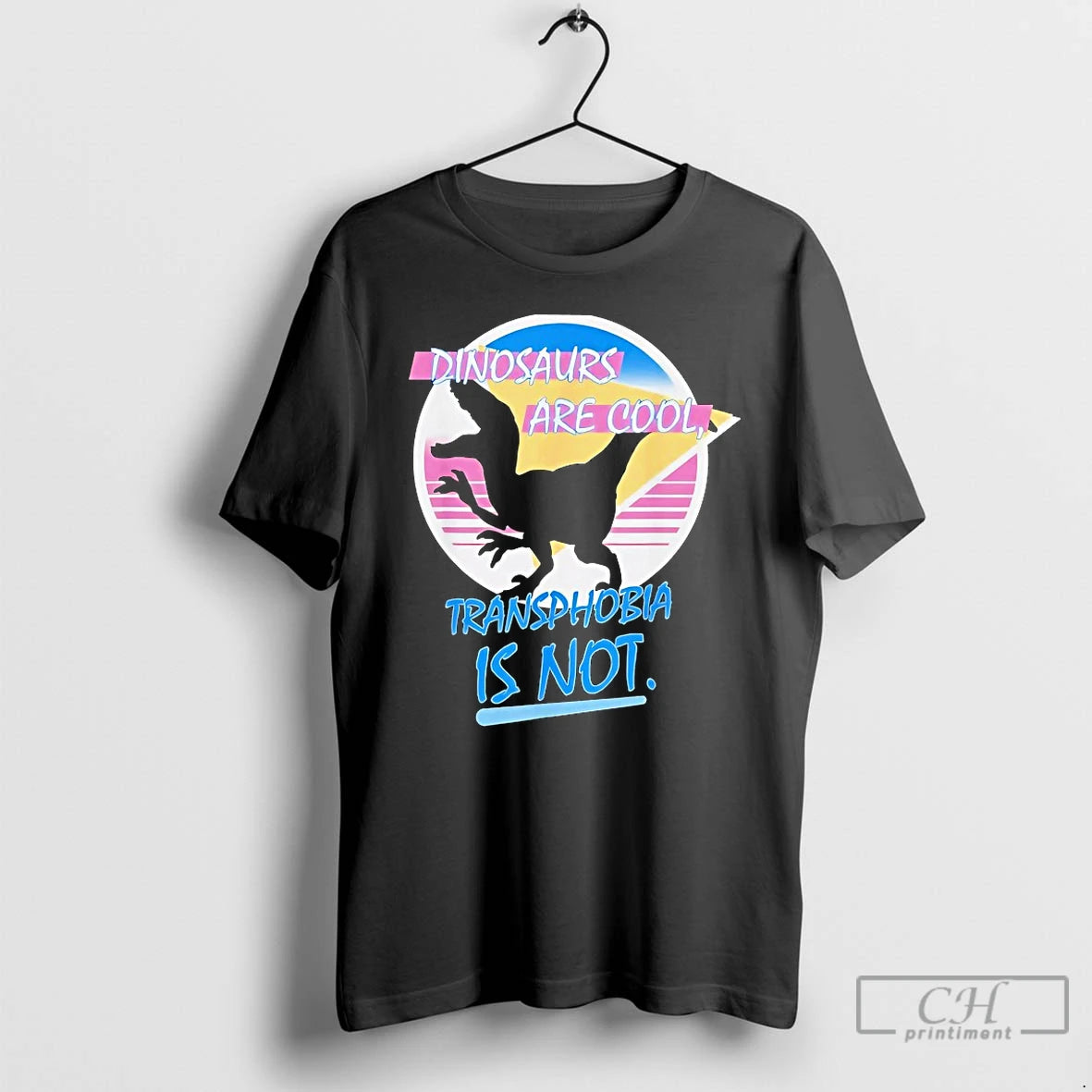 Premium Dinosaurs Are Cool Transphobia Is Not T-Shirts, Hoodie, Sweatshirt | PrintMintTees.com
