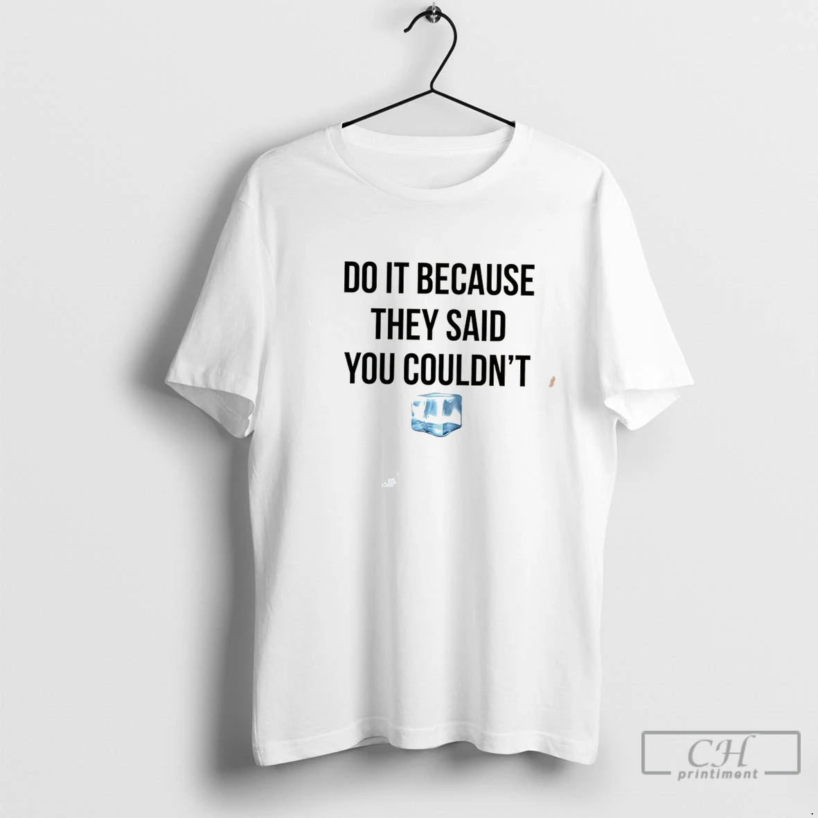 Premium Drake Do It Because They Said You Couldnt Tee