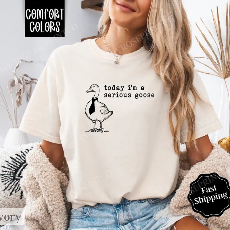 Serious Goose Shirt Comfort Colors, Retro Funny TShirts, Women's Oversized Graphic Tee Hoodie Sweatshirt | PrintMintTees.com