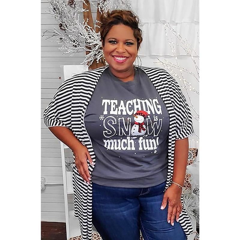 Teaching is Snow Much Fun T-Shirt Hoodie Sweatshirt | PrintMintTees.com
