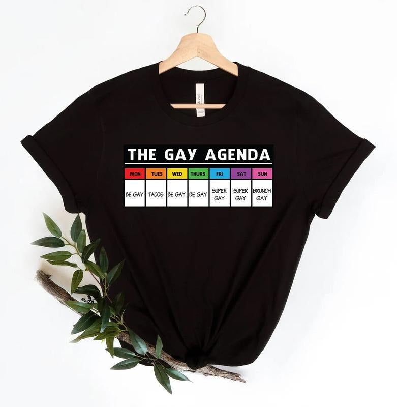 The Gay Agenda Shirt Gay Shirt Lgbt Shirt Bisexual Shirt Lesbian Shirt Vintage Shirt Lgbt Gift Pride Rainbow Shirt Trendy...