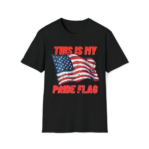 This Is My Pride Flag T-shirt USA US United States of America American made in usa Hoodie Sweatshirt | PrintMintTees.com