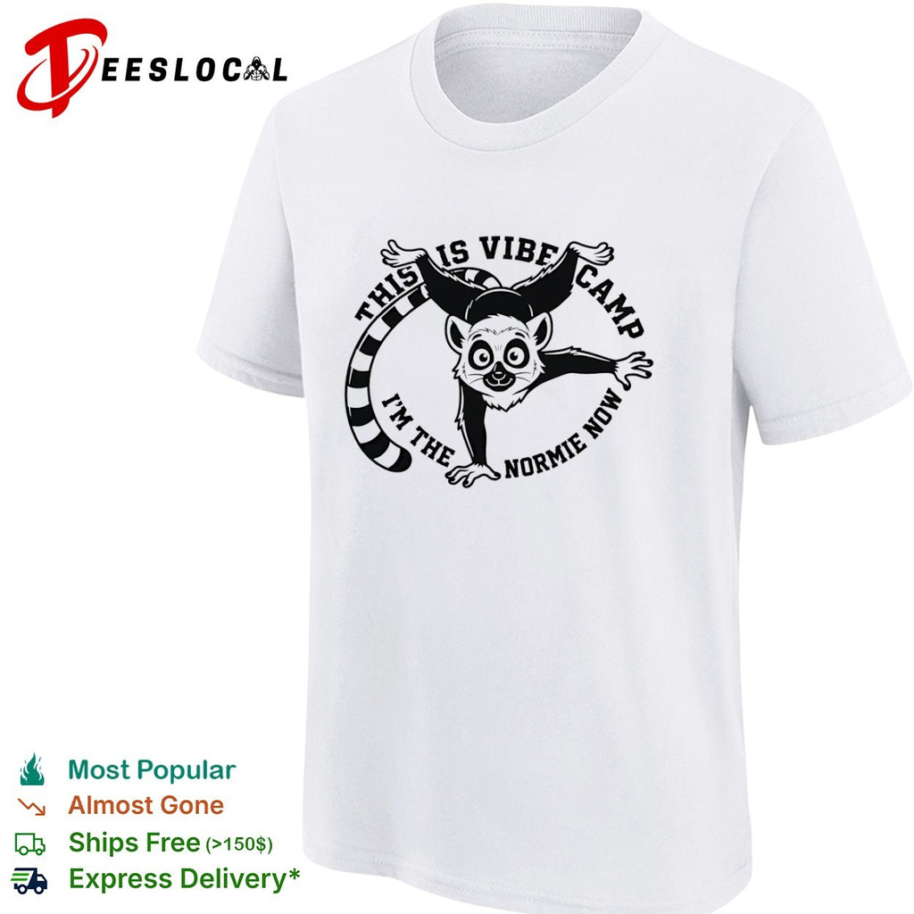 This is Vibe Camp I am the Normie Now shirt