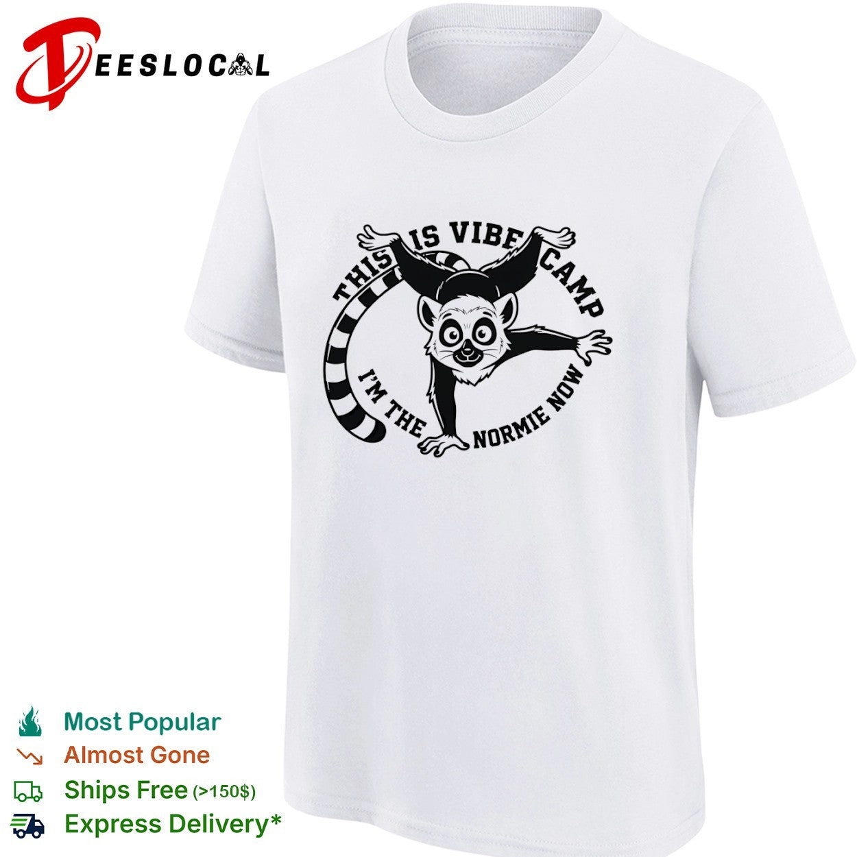 This is Vibe Camp I am the Normie Now shirt