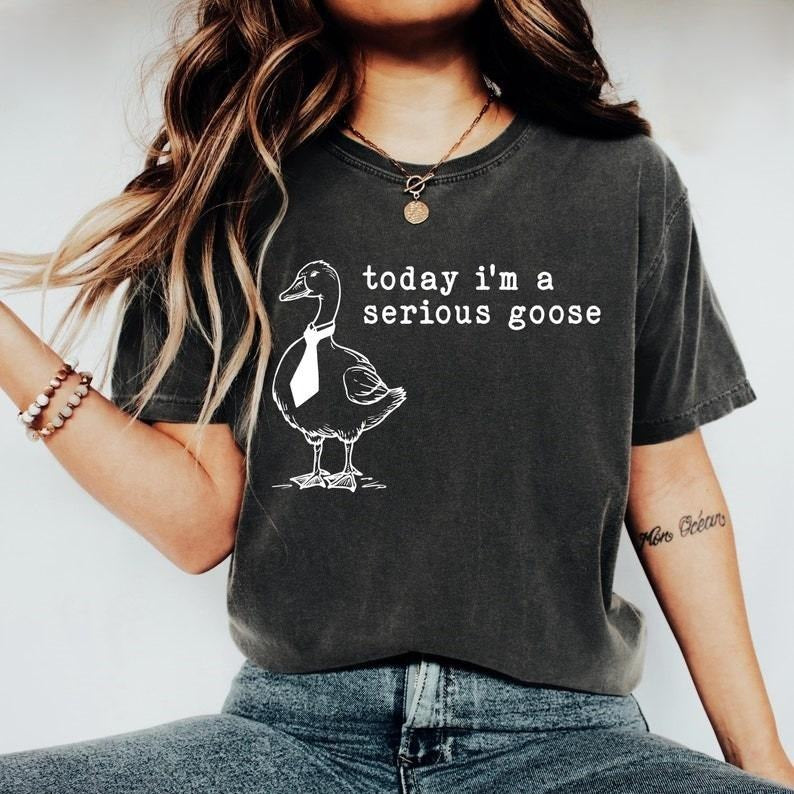 Today I'm A Serious Goose Tshirt, Funny Silly Shirt, Funny Goose T-Shirt, Gifts for Her, Funny Gifts Top Womenswear...
