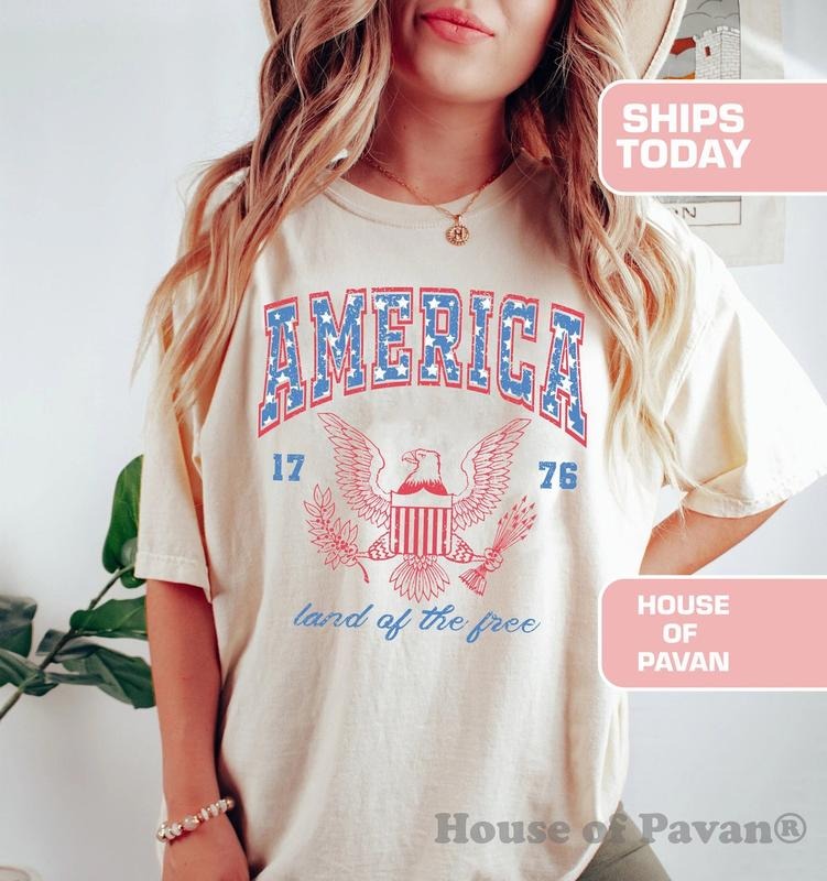 USA shirt, Summer BBQ t-shirt, Red White and Blue, 4th of July shirt Hoodie Sweatshirt | PrintMintTees.com