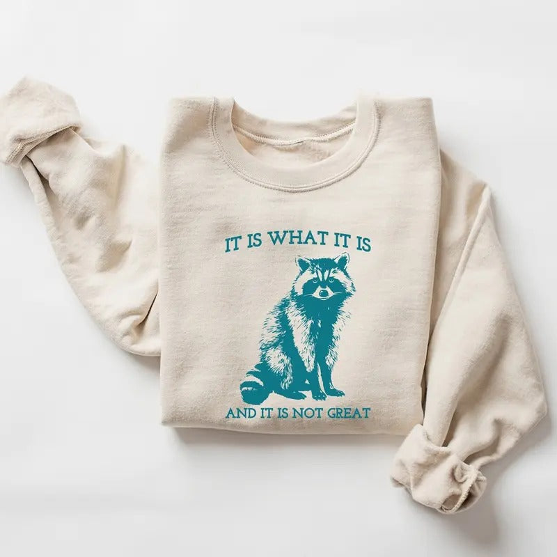 UnisexIt Is What It Is And It Is Not Great shirt, Vintage  Raccoon Shirt Hoodie Sweatshirt | PrintMintTees.com