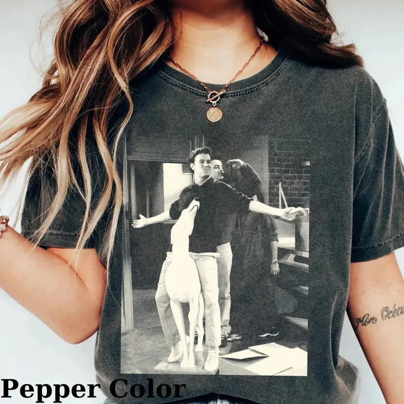 Vintage Chandler Bing Joey Tribbiani Funny Friends Sitcom Shirt Movie Shirt Friends Top Menswear Streetwear Shirt Hoodie Sweatshirt