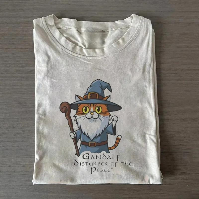 Vintage Gandalf Disturber of The Peace Graphic Tee - The Lord of The Rings Movies Shirt - LOTR Shirt - The Hobbits -...