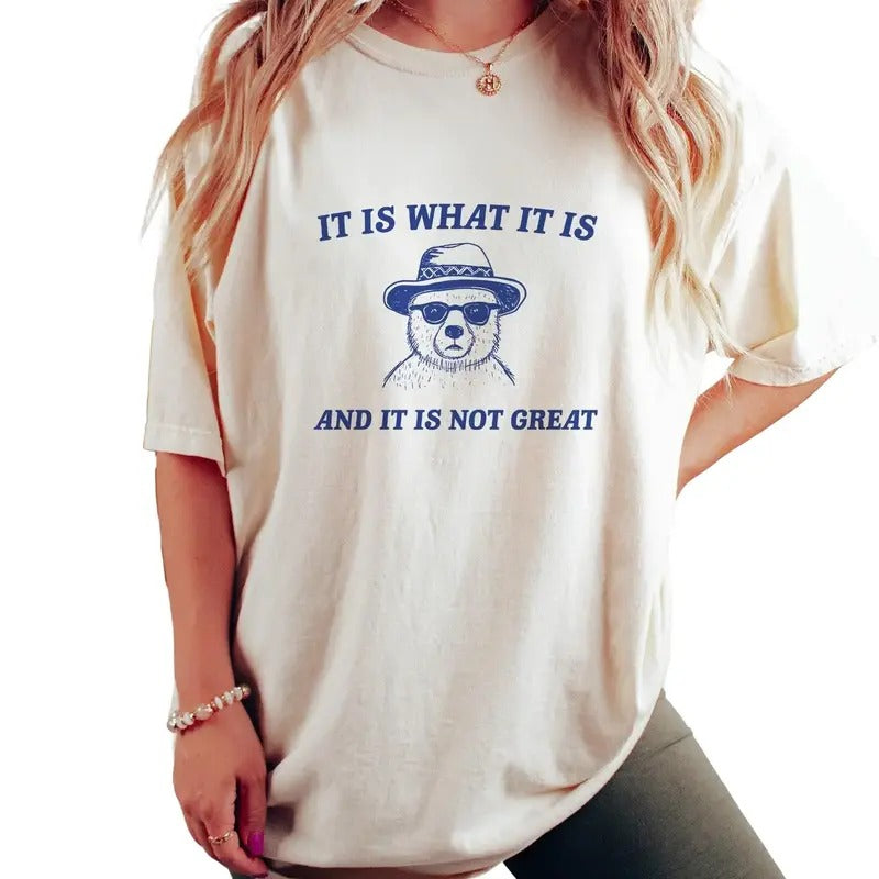 What It Is And It Is Not Great Unisex T Shirt, Funny, Meme, Cartoon Bear, Meme Funny Shirt, Unisex T-Shirt, Gifts For...