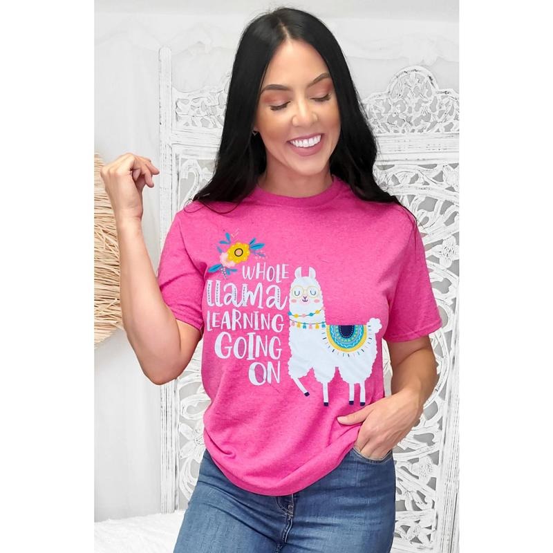 Whole Llama Learning Teacher T-Shirt Hoodie Sweatshirt | PrintMintTees.com