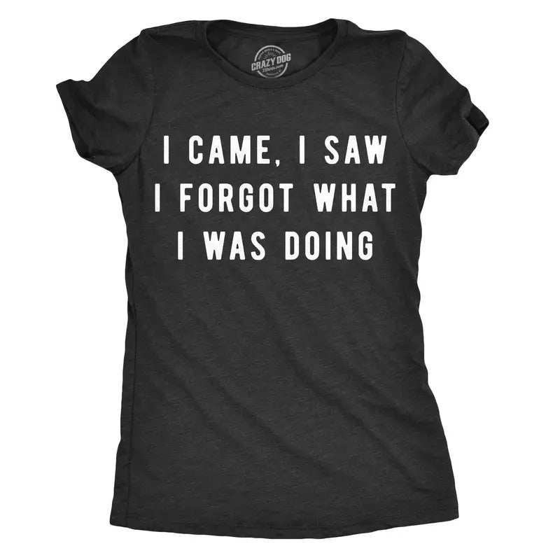 Womens I Came I Saw I Forgot What I Was Doing T Shirt Funny Sarcastic Tee For Ladies Funny Womens T Shirts Cute Slimming...