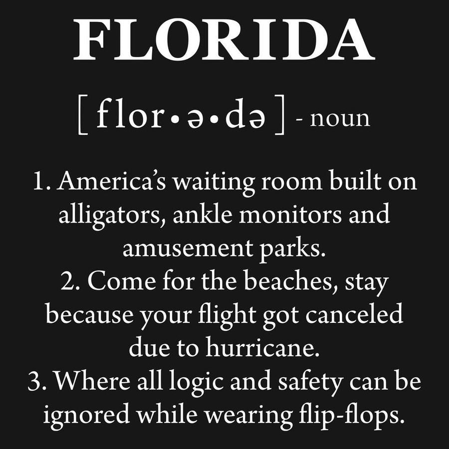 Florida Defined Hoodie - Black