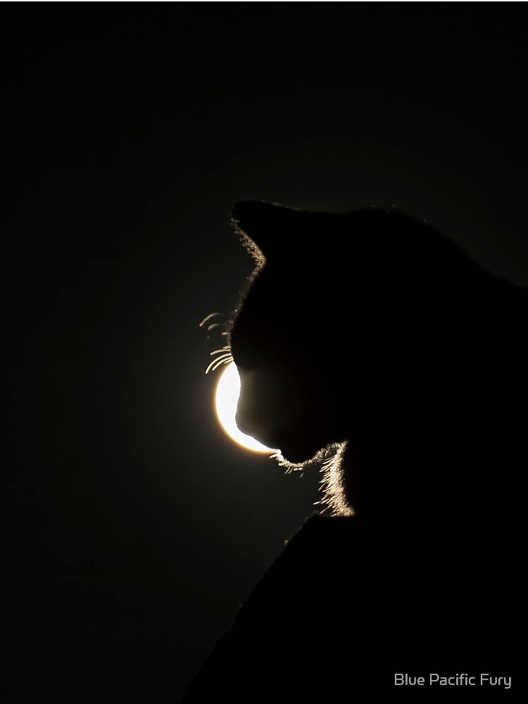 Cat Moon - Cat silhouetted by a Blue Super Moon by Blue Pacific Fury