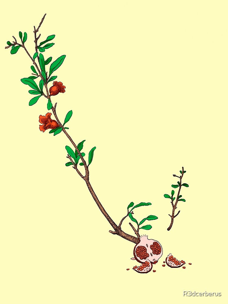 pomegranate by R3dcerberus