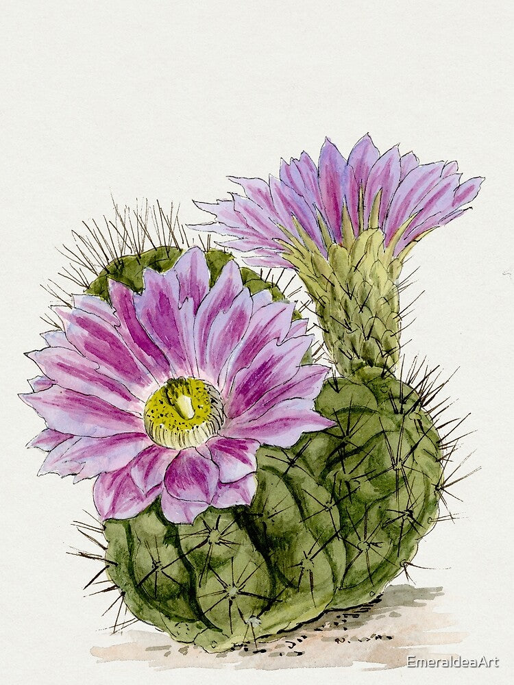 Purple cactus vintage botanical illustration by EmeraldeaArt