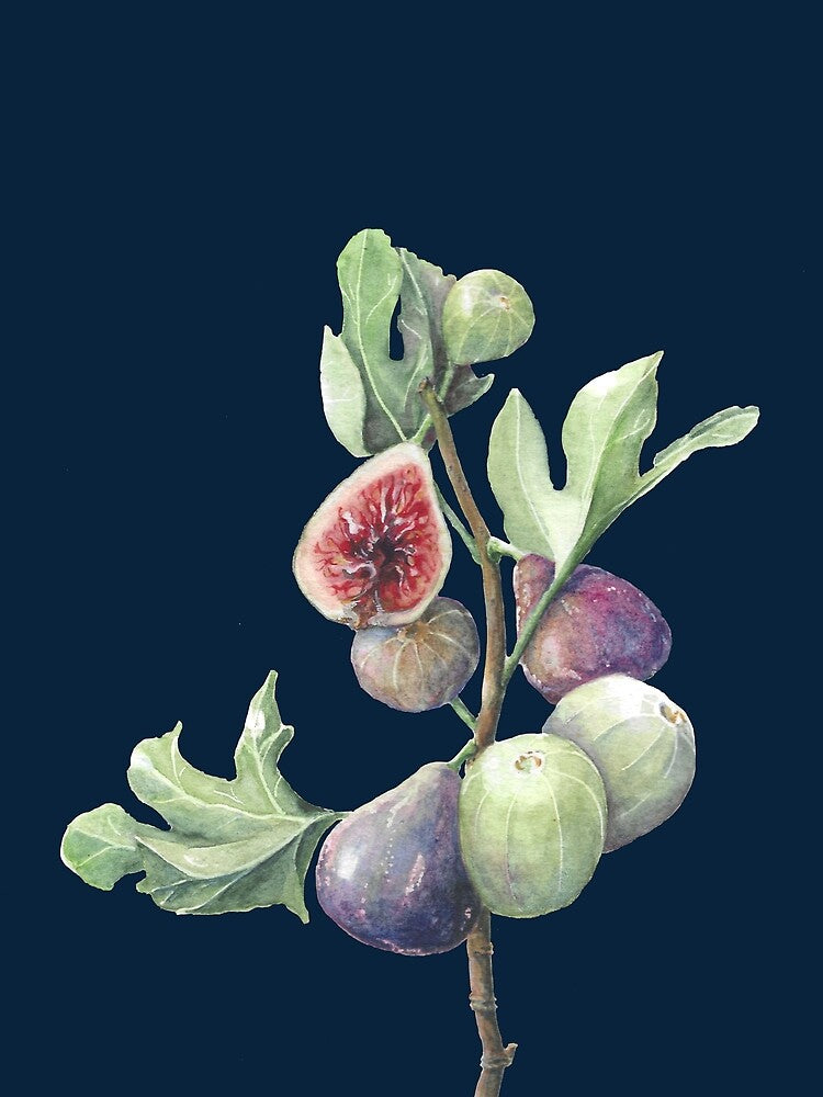 Fig season (inky blue) by Naomi-Bulger