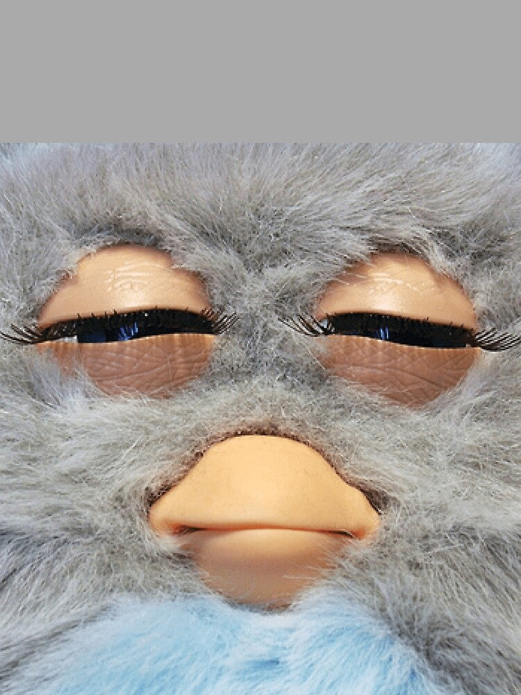 Furby by onjai