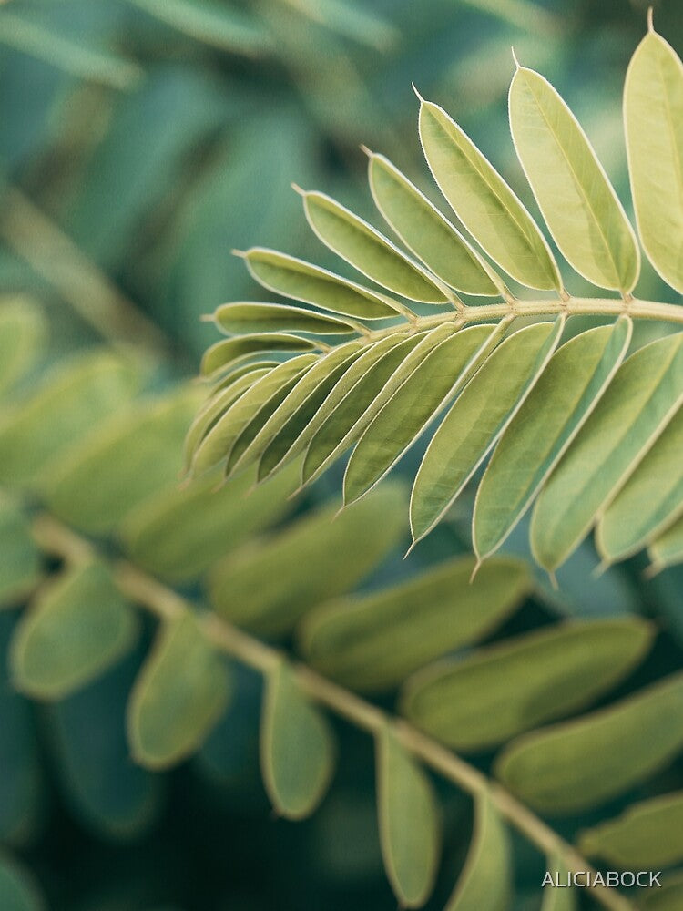 Layers of Green #1 by ALICIA BOCK