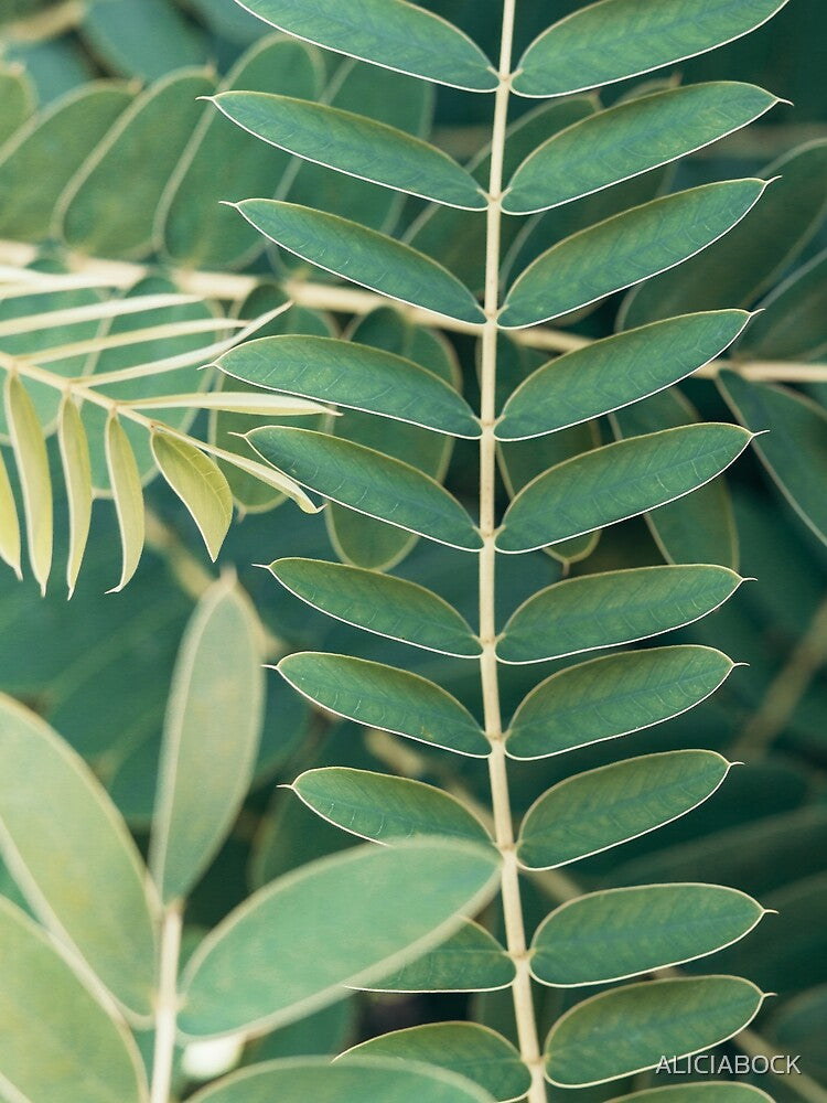 Layers of Green #6 by ALICIA BOCK
